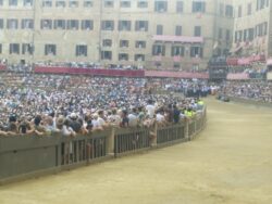 La contrada della Chiocciola vince la prova senza rincorsa