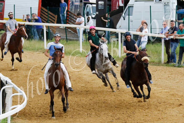 Mociano, prima giornata con 56 cavalli - IL PROGRAMMA