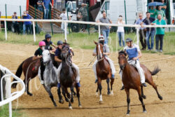 Addestramento dei cavalli, il nuovo programma