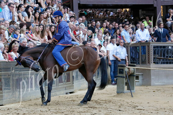 Palio: la prima prova - LE FOTO