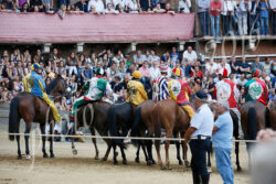 Seconda prova, vince l'Istrice