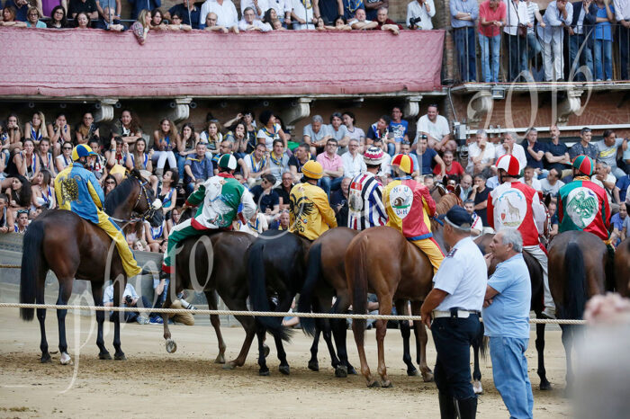 Seconda prova, vince l'Istrice