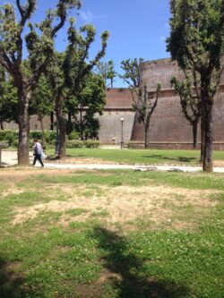 Domani la riapertura di cimitero del Laterino e Fortezza