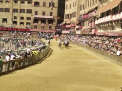 Batteria di recupero: vince Sunto