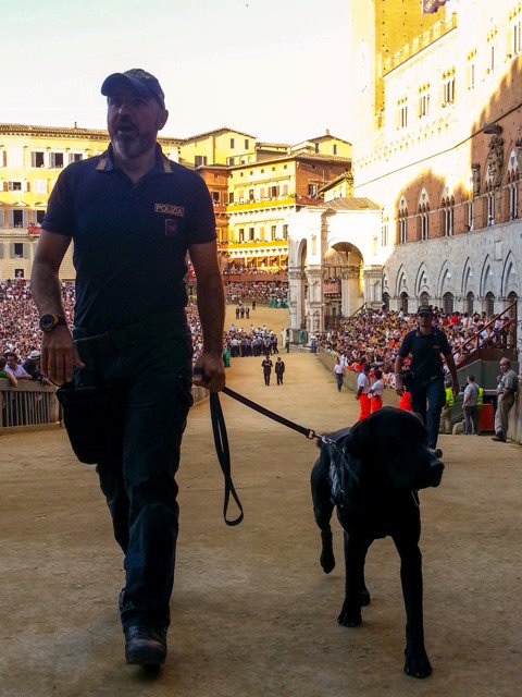 Misure di sicurezza straordinarie per il Palio