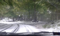Sul Monte Amiata cade la neve