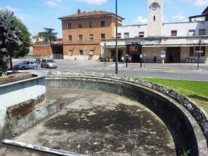 Il WWF chiede la sospensione degli abbattimenti in Piazza Mazzini a Poggibonsi