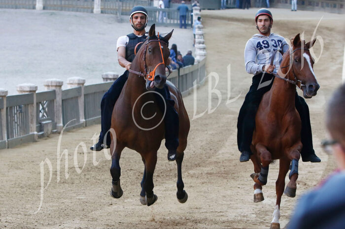 Quattro batterie per la tratta