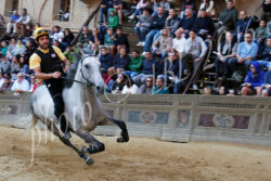 Prove di notte del 27 e 28, il programma