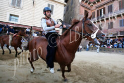 Verso la Tratta, ipotesi e strategie