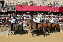 Palio: sono 35 i cavalli ammessi alla Tratta