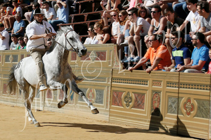 Terza prova aggiudicata da Takatursa