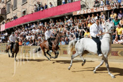 Ecco la lista dei cavalli ammessi alle prove mattutine e alla Tratta