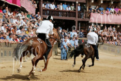 Palio: sono 33 i cavalli ammessi alla Tratta
