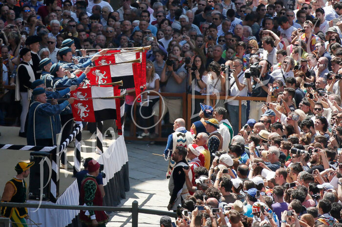 Ecco le dieci accoppiate. Nicchio e Lupa favoriti - LE FOTO