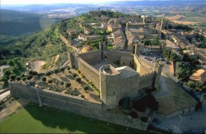 Cani da caccia uccisi a Montalcino