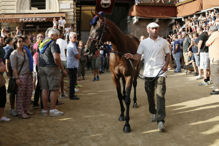 Quadrivia sta bene e sar&agrave; ripresentata