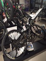 13920834_612677572241412_5362981674564855553_n