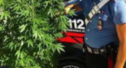 Spaccio di marijuana nei giardini degli Orbachi, denunciato studente 18enne