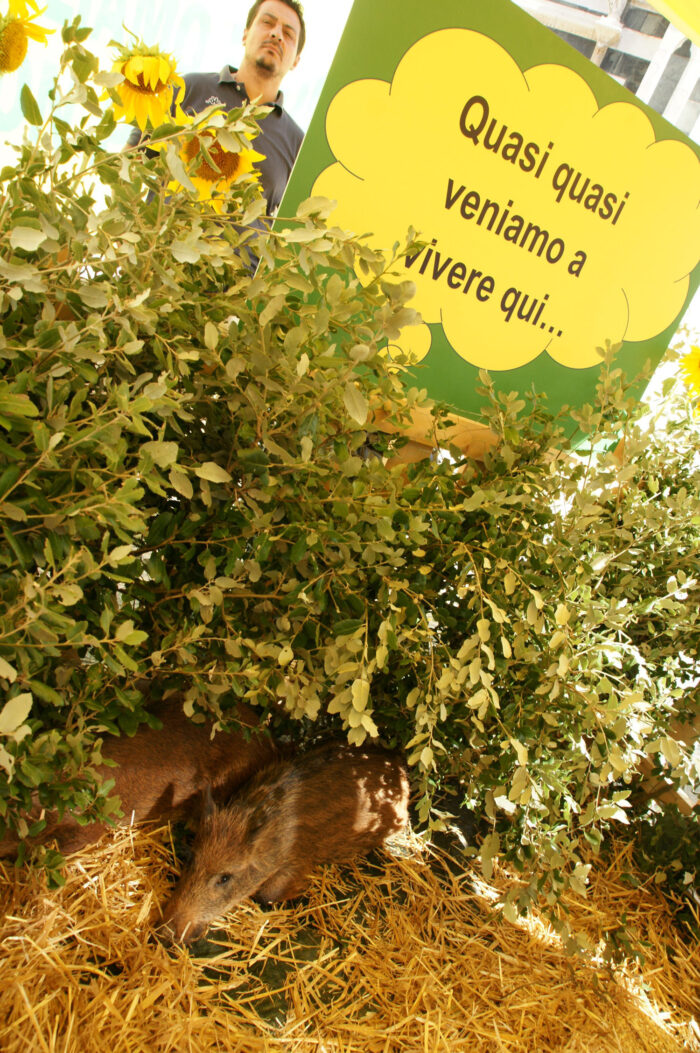 Agricoltori senesi in prima fila contro gli ungulati