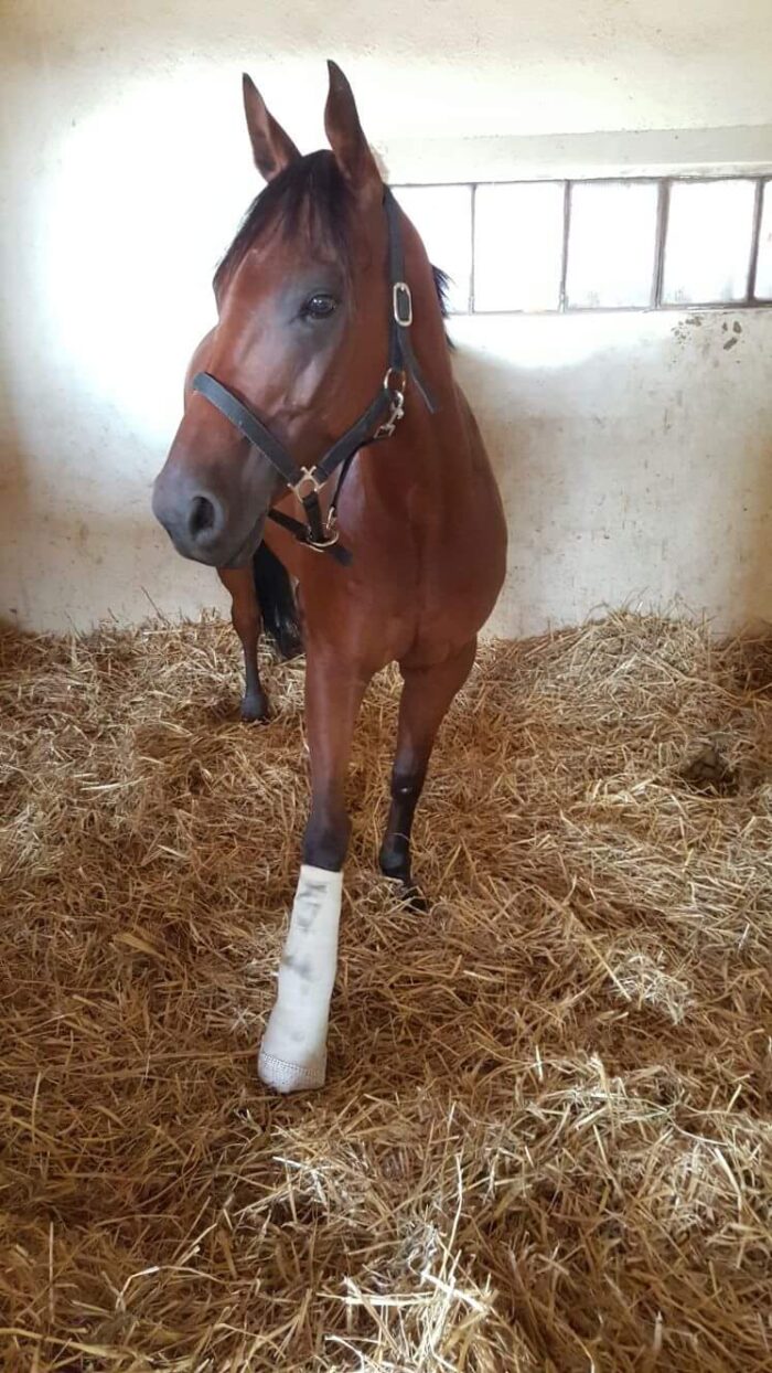 Reynard King operato, pronto alla guarigione