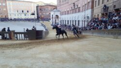 Cavalli da Palio, ecco chi manca all'appello