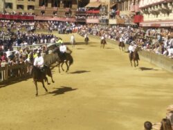 Questurino vince la quarta batteria. Nessuna batteria di recupero
