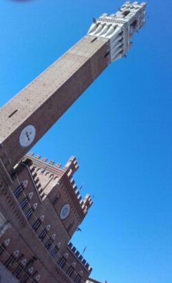 Turismo ponte di Pasqua, tutti i numeri dei musei senesi