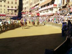 Il Leocorno con Remistirio e Brigante vince la seconda prova