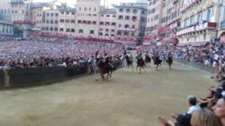 Carabinieri a cavallo, per la prima volta il comandante sarà un ufficiale donna