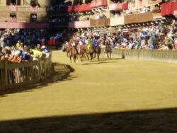 Il Bruco vince la Provaccia