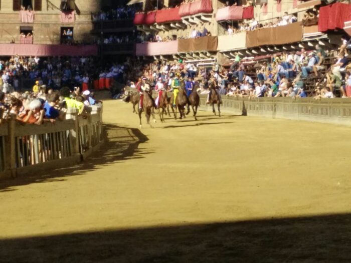 Il Bruco vince la Provaccia