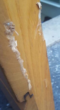 Tentato furto all'alba nella stalla della Civetta