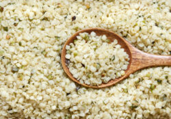 La canapa in cucina: a Castelnuovo Berardenga si può