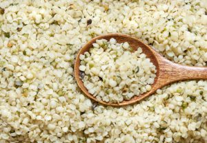 La canapa in cucina: a Castelnuovo Berardenga si pu&ograve;