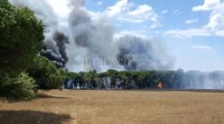Devastante incendio a Principina, il fuoco tra le case - IL VIDEO
