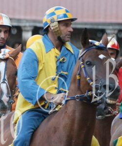 Incertezze sul futuro di Morosita Prima e Mississippi