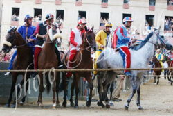 Palio, nelle altre due mosse Nicchio e Civetta di rincorsa