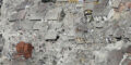 Terremoto: Misericordie italiane attivate, c'è anche Siena