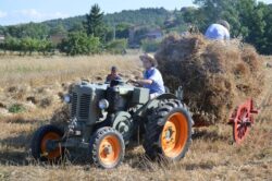 &ldquo;Festa di fine agosto&rdquo; a Pianella: rivive l&rsquo;antico rito della trebbiatura