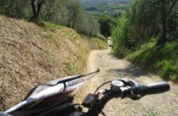 Tredicenni si perdono durante la passeggiata in bici