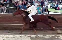 Palio di Castel del Piano, alle ore 18 si corre