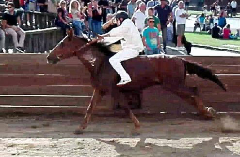 Palio di Castel del Piano, alle ore 18 si corre