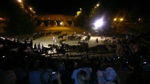 A Siena la campagna arriva in citt&agrave;: &ldquo;Nella Vecchia Fattoria&rdquo;