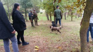 Vincono concorso dei Baci Perugina: vacanze da vip in terra senese