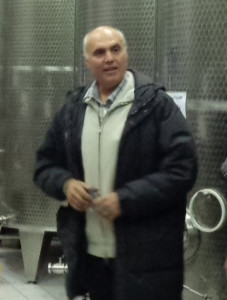 Consorzio Olio Dop Terre di Siena: Maccari presidente del CdA