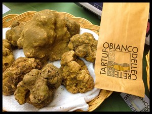 Tutto pronto per la Mostra Mercato del Tartufo Bianco delle Crete Senesi