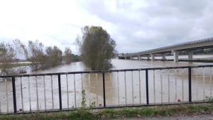 016b113a-5bf5-47bc-8761-d6603a202a56