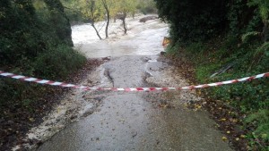 14917050_1390466864310893_3428378193118613364_o