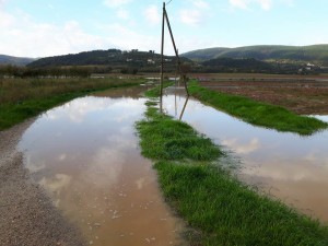 14925593_10154610404309831_8965903864347948231_n